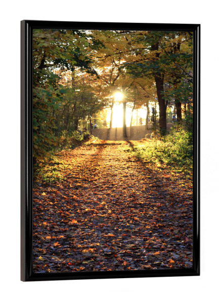 Poster mit schwarzem Rahmen "Durch den Wald" artboxONE - Natur,Reise - Nature,Forest,Wald,Sonne,Sun,Calm,Warm,Silent,Natur,Herbst,Autumn,Travel,Reise