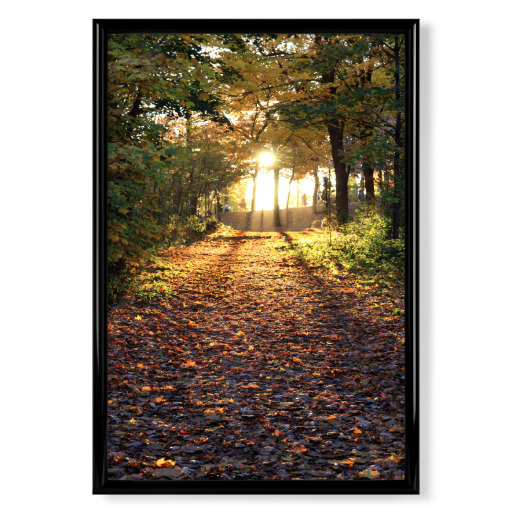 Durch den Wald