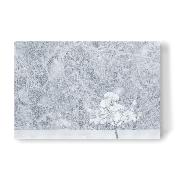 Leinwandbild "Es schneit!" artboxONE - Natur,Reise,Reise / Länder
