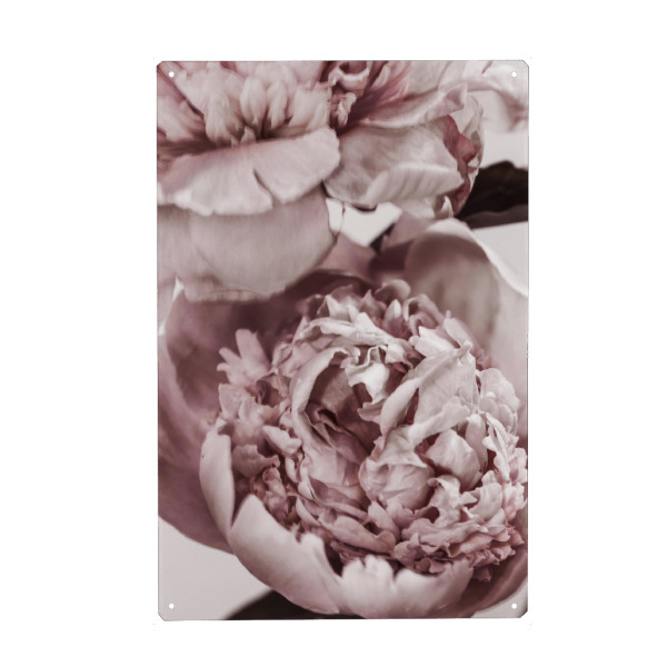 Holzbild "Peonies I" artboxONE - Natur,Floral - Peonies,Blume,Flower,Pink,Boho,Botanical,Botanisch,Closeup,Nahaufnahme,Floral,Natur,Nature