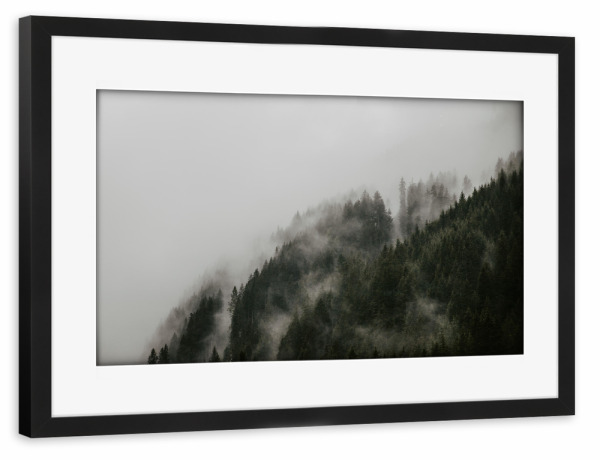 Poster mit Rahmen schwarz "MärchenWALD" artboxONE - Natur,Reise,Floral,Reise / Länder