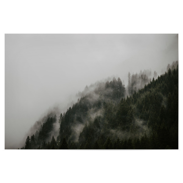 Poster 30x20 cm "MärchenWALD" artboxONE - Natur,Reise,Floral,Reise / Länder