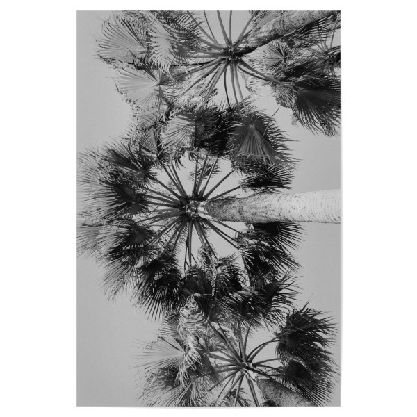 Poster 30x20 cm "Unter Palmen" artboxONE - Natur,Reise,Floral,Schwarzweiß,Reise / Strand und Meer