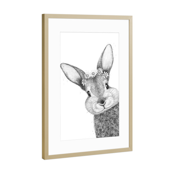 Poster mit Rahmen Gold "Rabbit with chamomiles" artboxONE - Natur,Floral,Tiere,Lustig