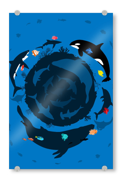 Acrylglasbild "Ocean circle" artboxONE - Tiere,Unterwasser