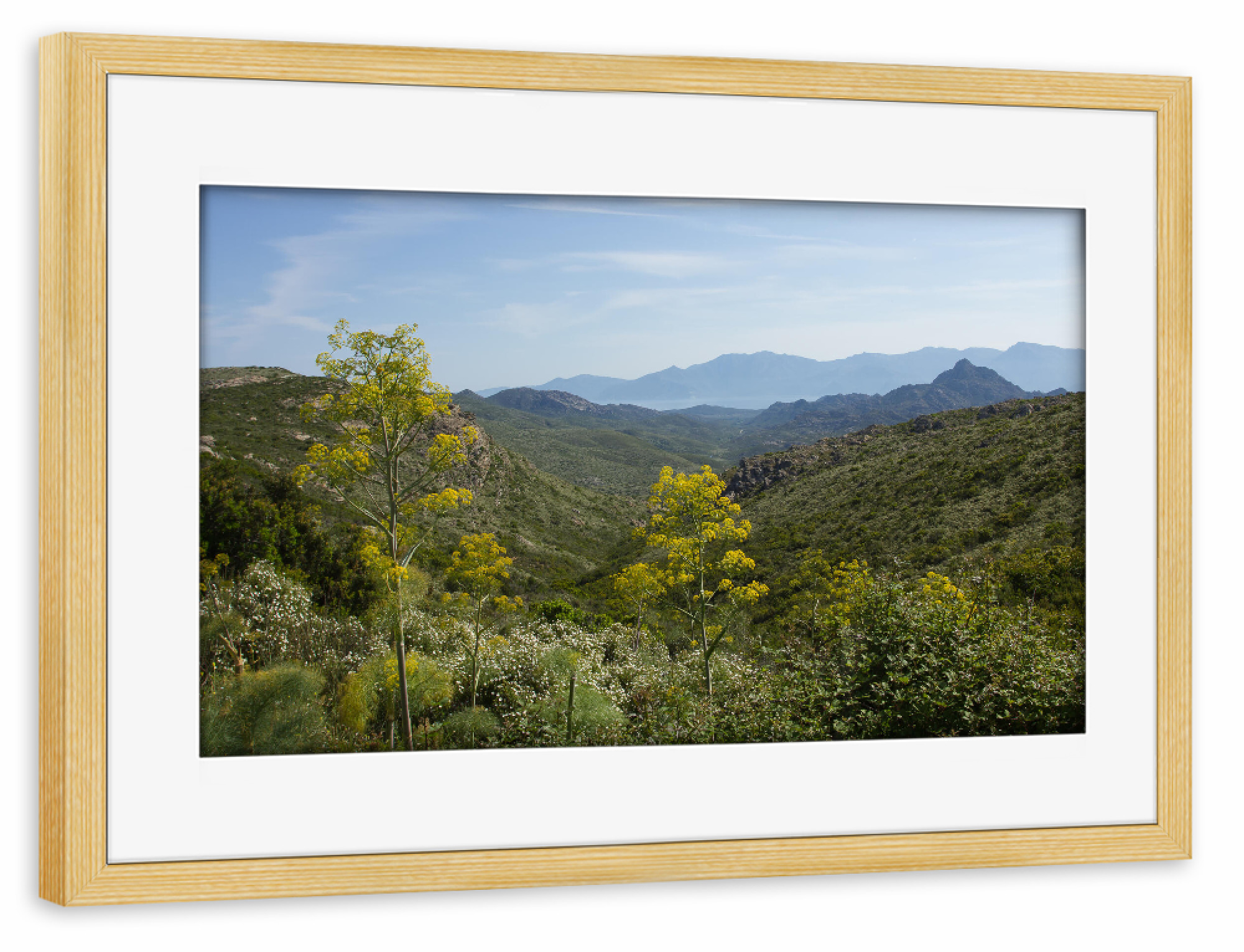 Poster mit Rahmen kiefer "Landschaft auf Korsika" artboxONE - Natur,Reise / Länder