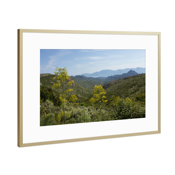Poster mit Rahmen Gold "Landschaft auf Korsika" artboxONE - Natur,Reise / Länder