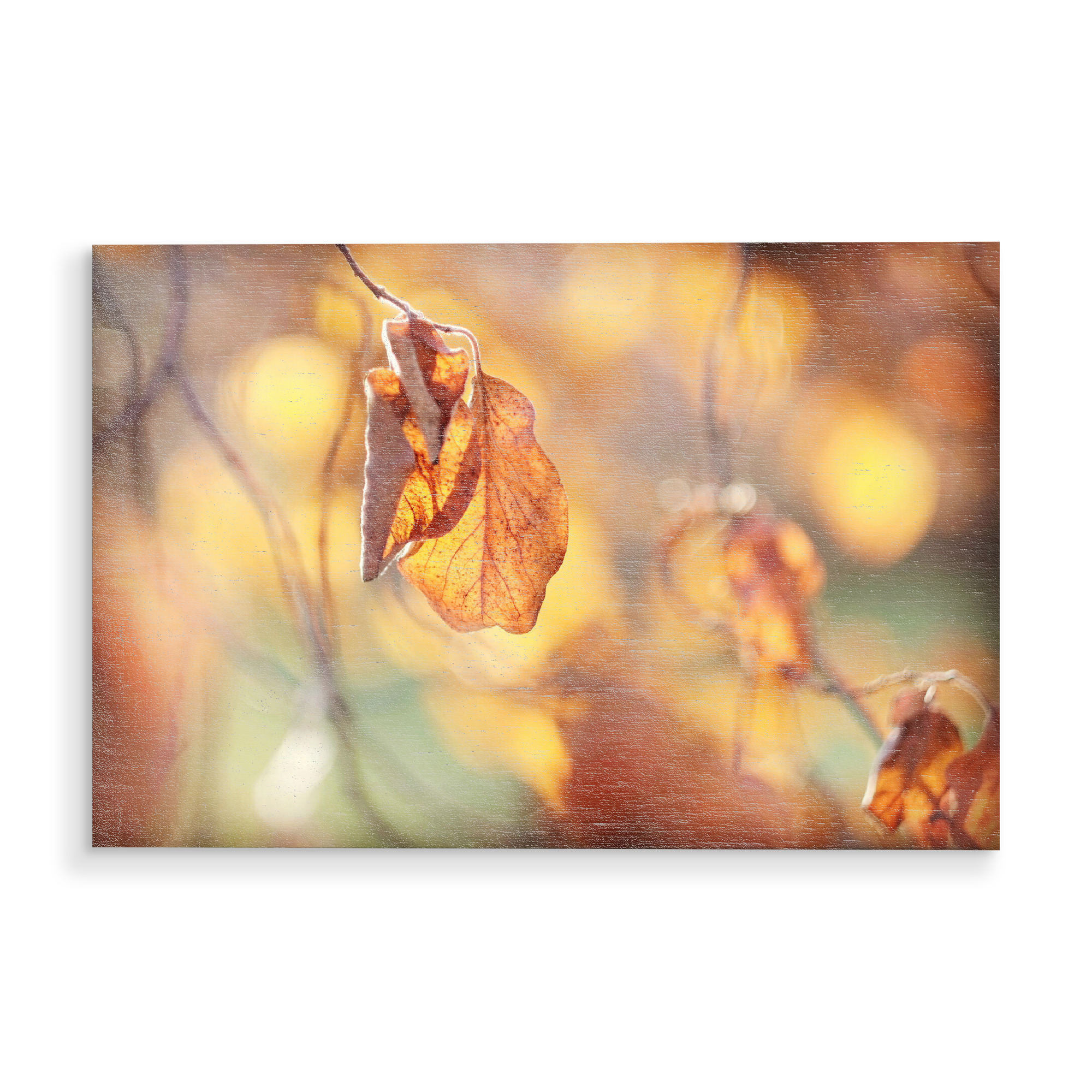 Holzbild "Herbstlichter" artboxONE - Natur,Floral - Herbst,Natur,Nature,Autumn,Closeup,Nahaufnahme,Leaves,Blätter