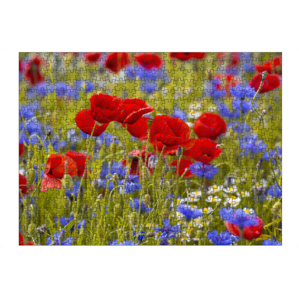 artboxONE Puzzle "Mohnblumen im Kornblumenfeld" artboxONE - Natur,Floral