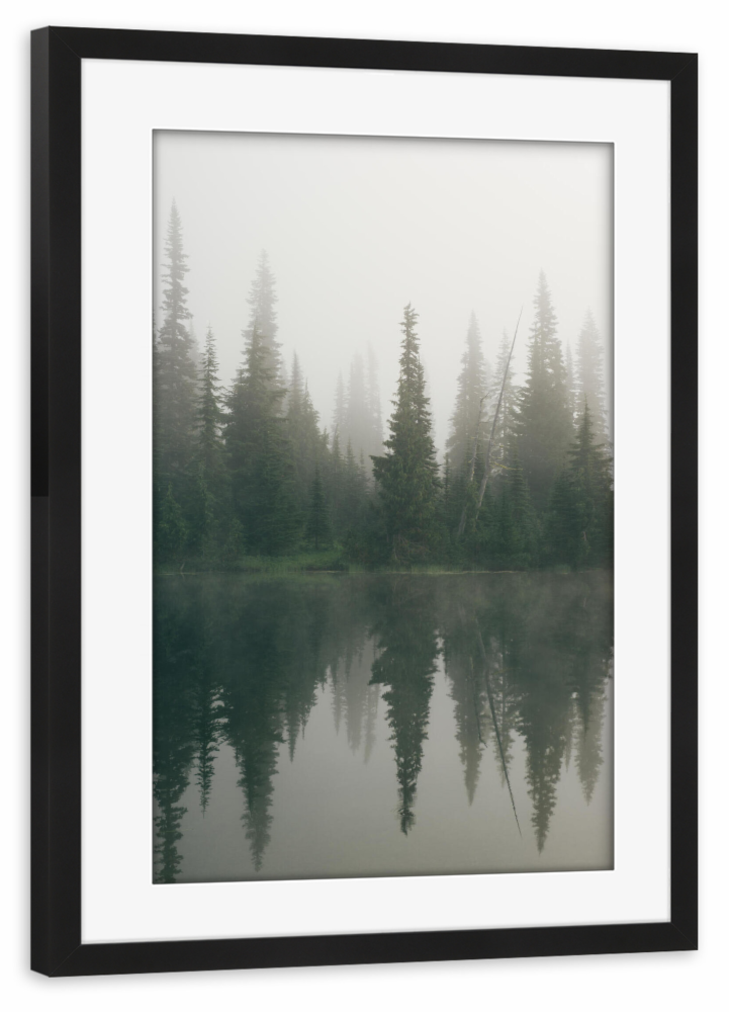 Poster mit Rahmen schwarz "Dense fog at a small lake" artboxONE - Natur,Reise / Länder