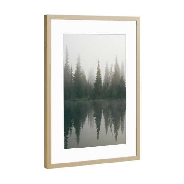 Poster mit Rahmen Gold "Dense fog at a small lake" artboxONE - Natur,Reise / Länder