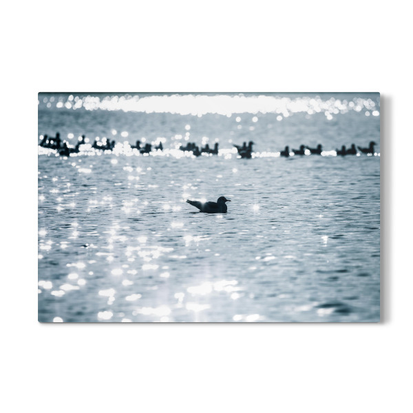 Galerie-Print "I'm different" 30x20 cm artboxONE