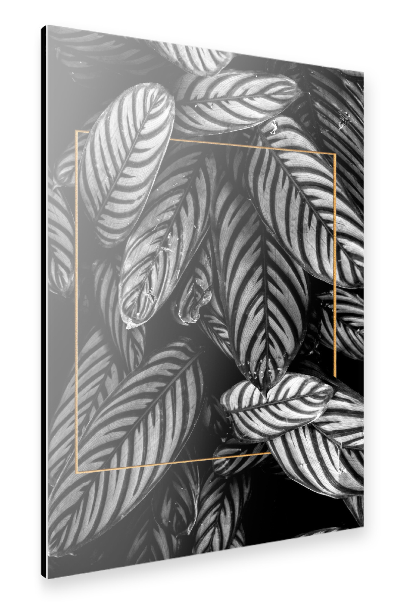 Alu-Dibond "Golden Frame Foliage" 30x20 cm artboxONE