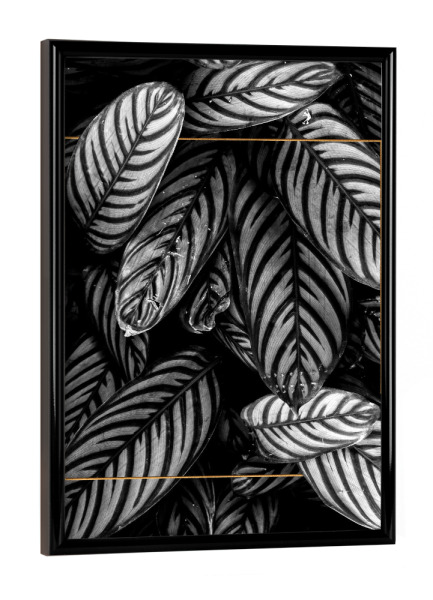 Poster mit schwarzem Rahmen "Golden Frame Foliage" artboxONE - Natur,Abstrakt