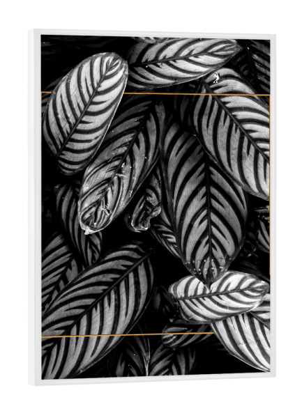 Poster mit weißem Rahmen "Golden Frame Foliage" artboxONE - Natur,Abstrakt