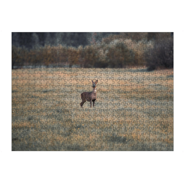 artboxONE Puzzle "Reh in der Natur" artboxONE - Natur,Tiere - Reh,Tiere,Wald,Hirsch,Deer,Tier,Animal,Wildlife,Wild,Rehe,Herbst,Forest,Natur,Nature