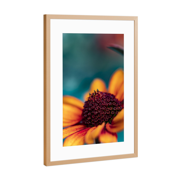 Poster mit Rahmen Kupfer "Color Gloss" artboxONE - Natur,Floral