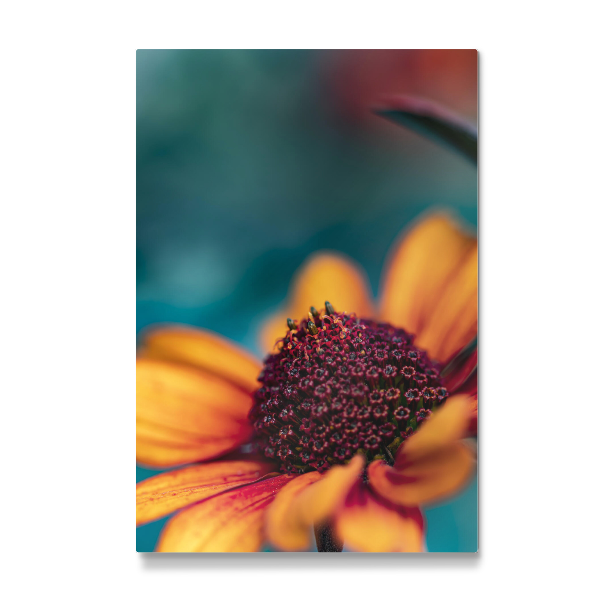 Galerie-Print "Color Gloss" 30x20 cm artboxONE
