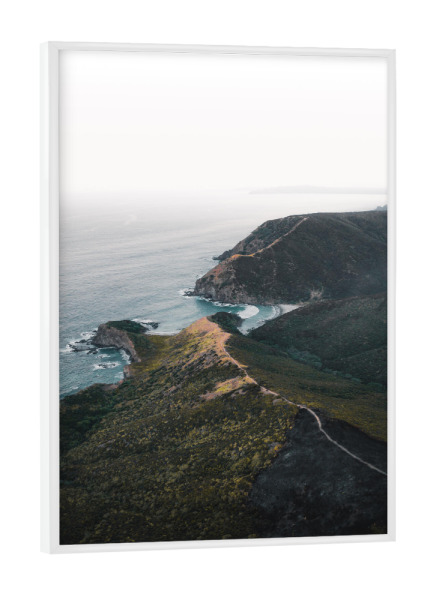 Poster mit weißem Rahmen "Weg zum Strand in Neuseeland" artboxONE - Natur,Reise