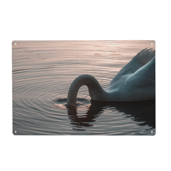 Metall Poster "I'm out" artboxONE - Natur,Tiere