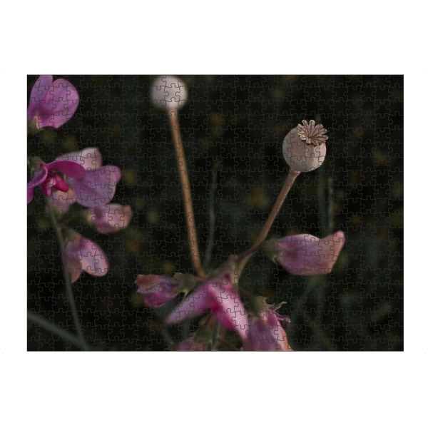 artboxONE Puzzle "Mohnkapsel" artboxONE - Natur,Floral
