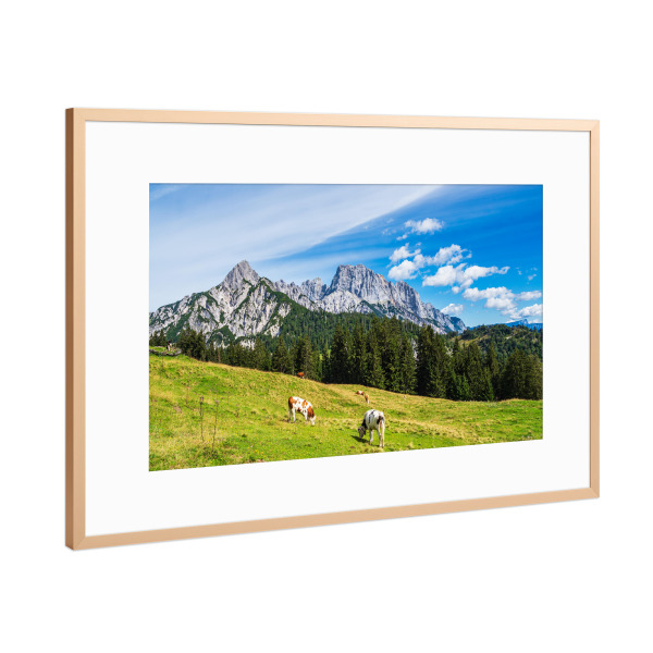 Poster mit Rahmen Kupfer "Kühe auf der Litzlalm" artboxONE - Natur,Reise