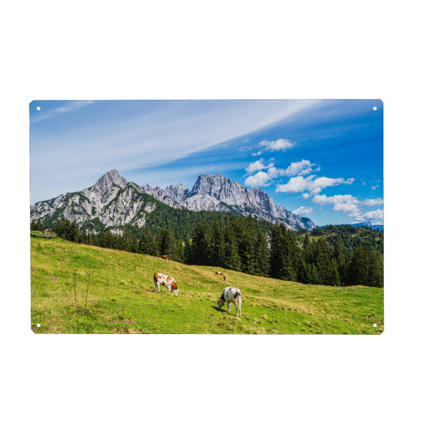 Holzbild "Kühe auf der Litzlalm" artboxONE - Natur,Reise
