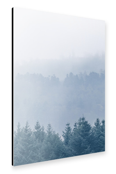 Alu-Dibond "Icy forest" 30x20 cm artboxONE