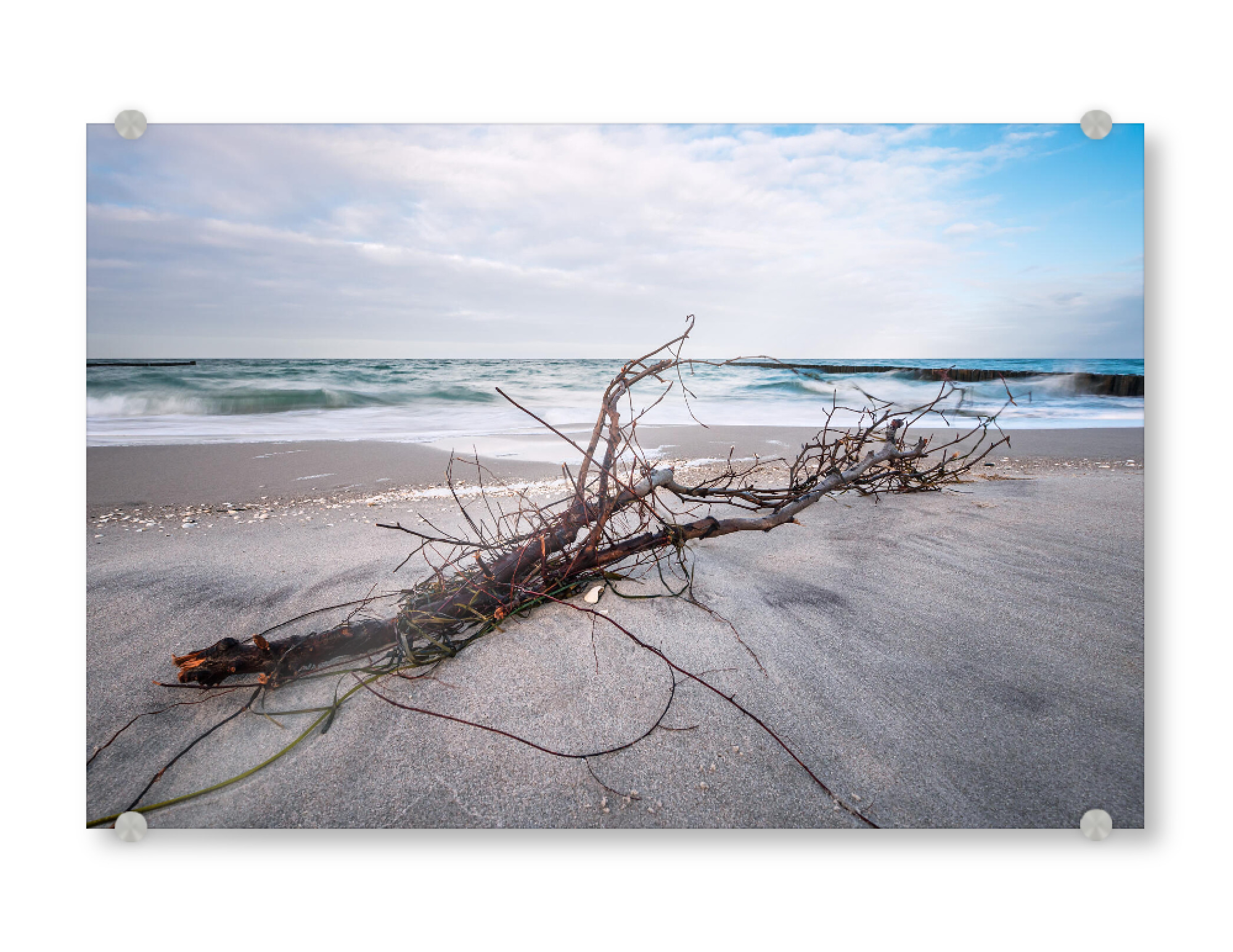Acrylglasbild "Treibholz am Strand" artboxONE - Natur,Reise,Reise / Strand und Meer