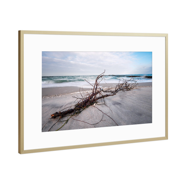 Poster mit Rahmen Gold "Treibholz am Strand" artboxONE - Natur,Reise,Reise / Strand und Meer
