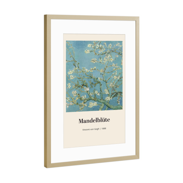 Poster mit Rahmen Gold "Mandelblüte - Vincent van Gogh" artboxONE - Natur,Floral