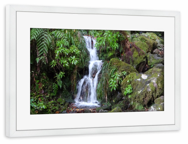 Poster mit Rahmen weiß "Waterfall Madeira Trail" artboxONE - Natur,Reise,Floral,Reise / Länder
