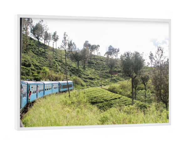 Poster mit weißem Rahmen "Trainride Sri Lanka" artboxONE - Natur,Reise,Reise / Strand und Meer,Reise / Länder