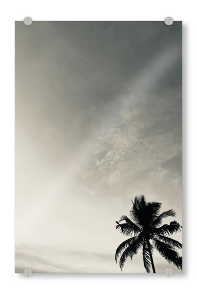Acrylglasbild "Palmtree" artboxONE - Natur - Palmtree,Sunset,Palme,Beach,Strand,Palm,Sky,Himmel,Sonnenuntergang,Sun,Seasite,Natur,Nature