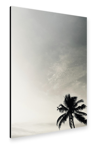 Alu-Dibond "Palmtree" 30x20 cm artboxONE