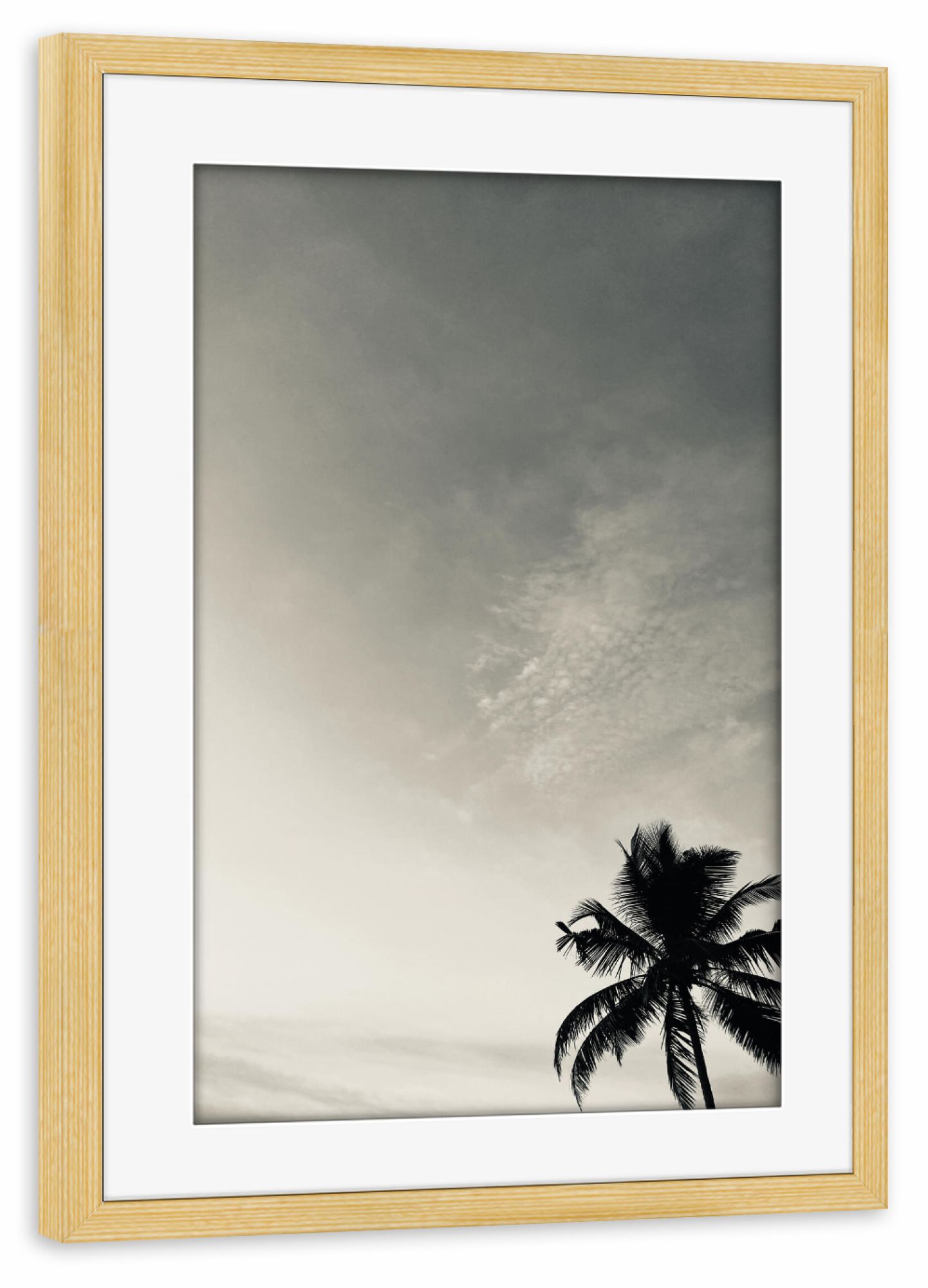 Poster mit Rahmen kiefer "Palmtree" artboxONE - Natur - Palmtree,Sunset,Palme,Beach,Strand,Palm,Sky,Himmel,Sonnenuntergang,Sun,Seasite,Natur,Nature