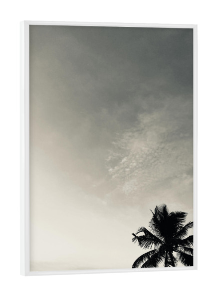 Poster mit weißem Rahmen "Palmtree" artboxONE - Natur - Palmtree,Sunset,Palme,Beach,Strand,Palm,Sky,Himmel,Sonnenuntergang,Sun,Seasite,Natur,Nature