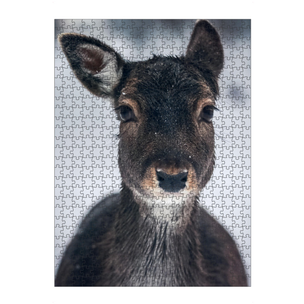 Puzzle Ravensburger "Rehkitz im Schnee" artboxONE - Natur,Tiere