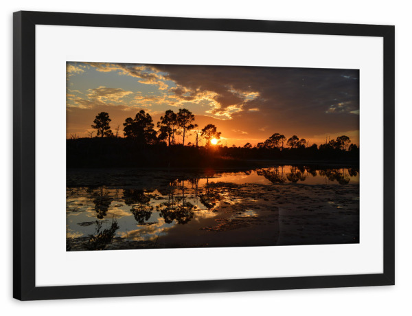 Poster mit Rahmen schwarz "Everglades, Florida (USA)" artboxONE - Natur,Reise