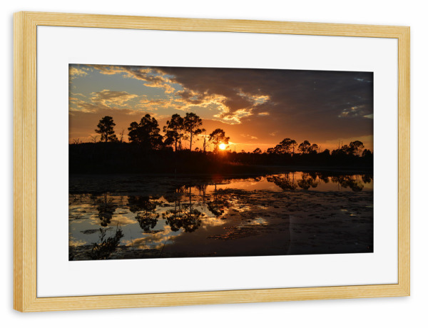 Poster mit Rahmen kiefer "Everglades, Florida (USA)" artboxONE - Natur,Reise