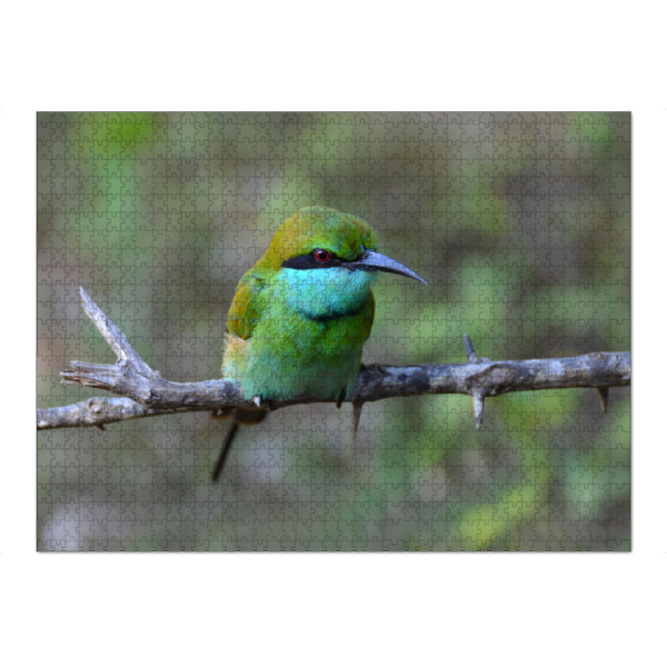 Puzzle Ravensburger "Masked Bee Eater" artboxONE - Natur,Tiere