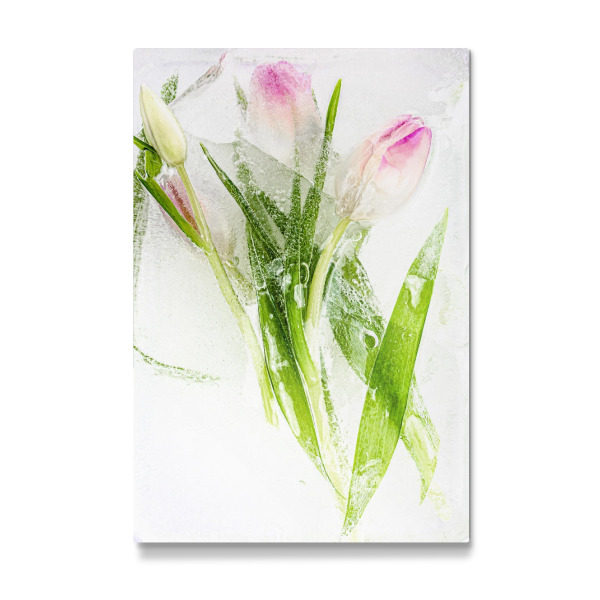 Galerie-Print "Eisblumen" 30x20 cm artboxONE