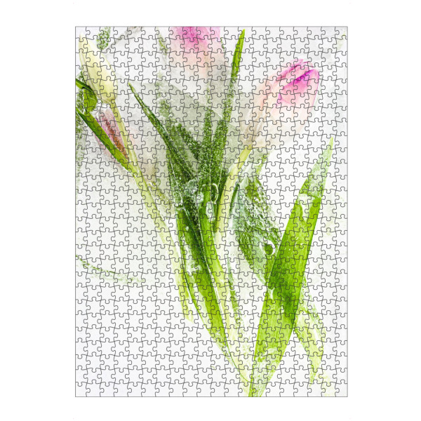 artboxONE Puzzle "Eisblumen" artboxONE - Floral - Eis,Eisblumen,Blumen,Tulpen,Grün,Rosa,Weiß,Highkey,Kalt,Floral,Flowers,Natur,Nature - Bild eis