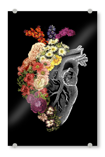 Acrylglasbild "Flower Heart Spring" artboxONE - Natur,Floral