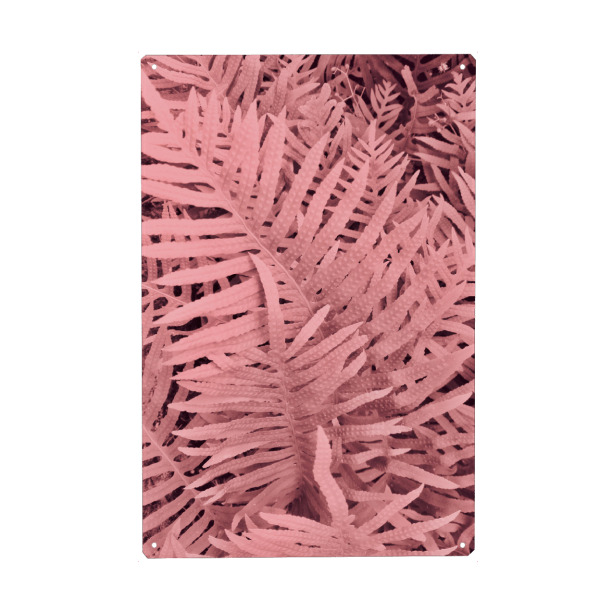 Metall Poster "Pink Ferns" artboxONE - Natur,Floral,Abstrakt - Fern,Pink,Leaf,Leaves,Abstract,Floral,Natur,Nature,Blätter,Abstrakt - Blechschild