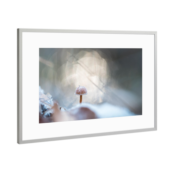 Poster mit Rahmen Silber "Winter, I don't care" artboxONE - Natur