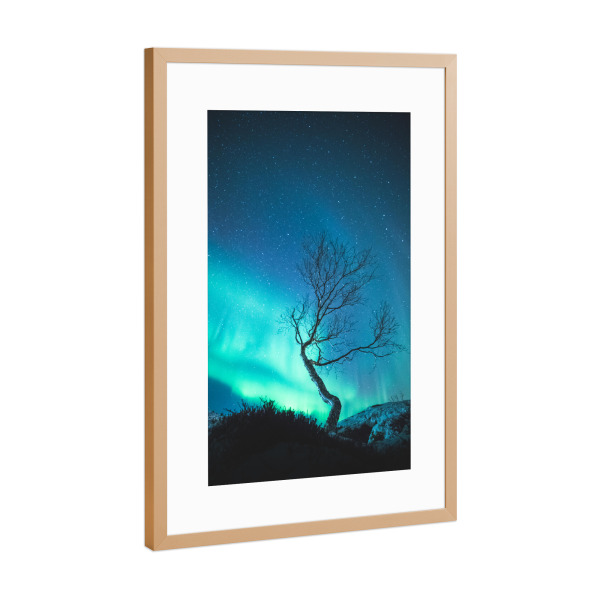 Poster mit Rahmen Kupfer "Aurora Tree" artboxONE - Natur