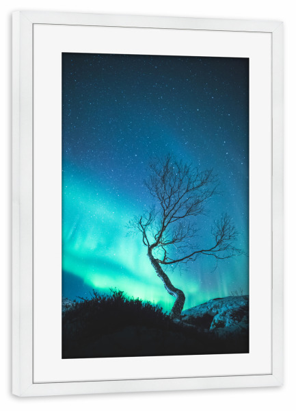 Poster mit Rahmen weiß "Aurora Tree" artboxONE - Natur
