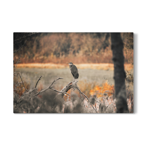 Galerie-Print "Frosty morning" 30x20 cm artboxONE