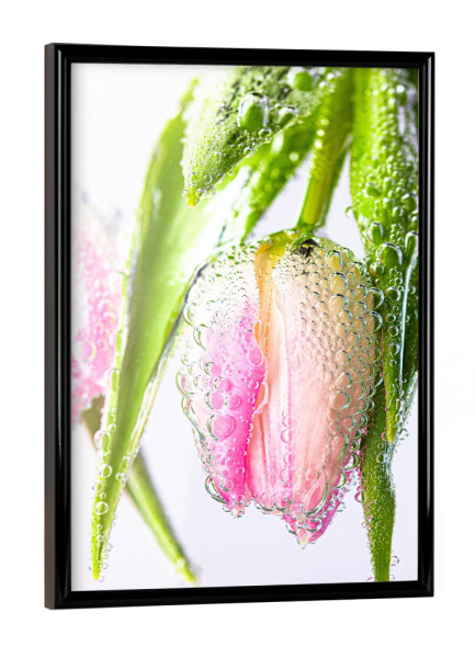 Poster mit schwarzem Rahmen "Blume unter Wasser" artboxONE - Floral